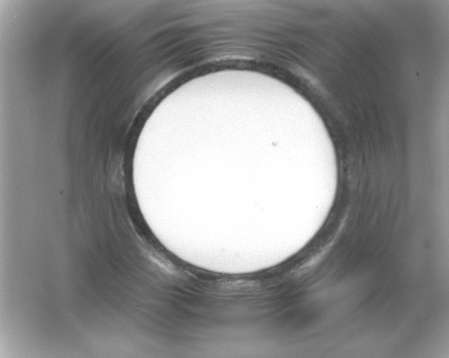 X0000065251113200603172157