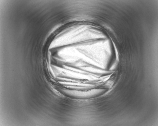 X0000065251114200603172157