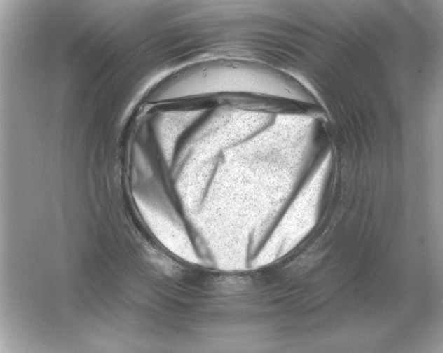 X0000065251115200603172157