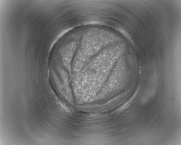 X0000065251117200603172157