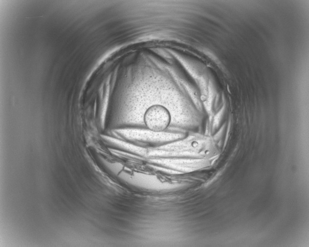 X0000065251118200603172157