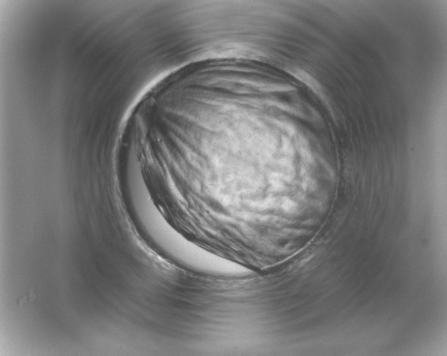 X0000065251120200603172157