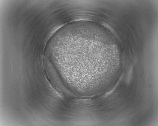 X0000065251121200603172157