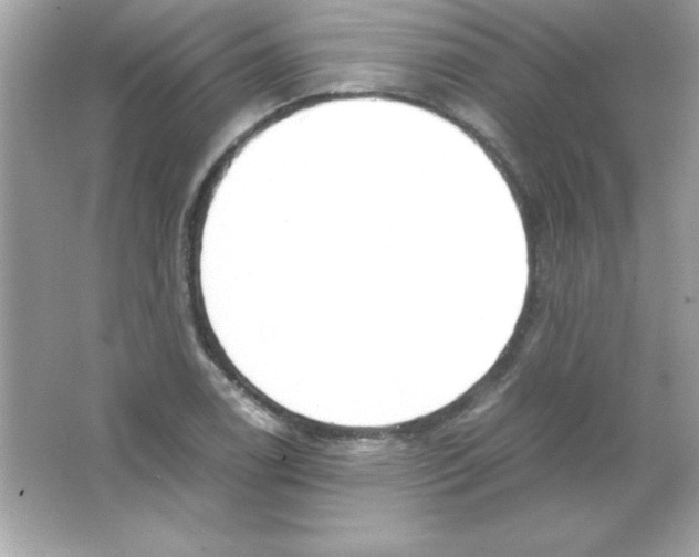 X0000065251122200603172157