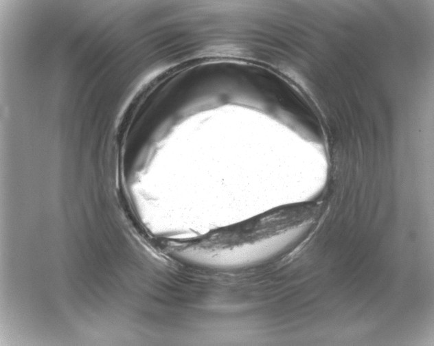 X0000065251123200603172157