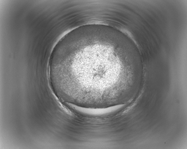 X0000065251125200603172157