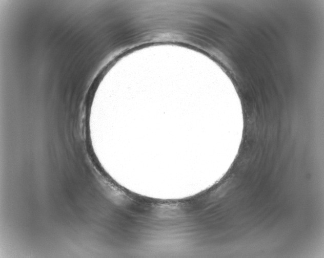 X0000065251126200603172157