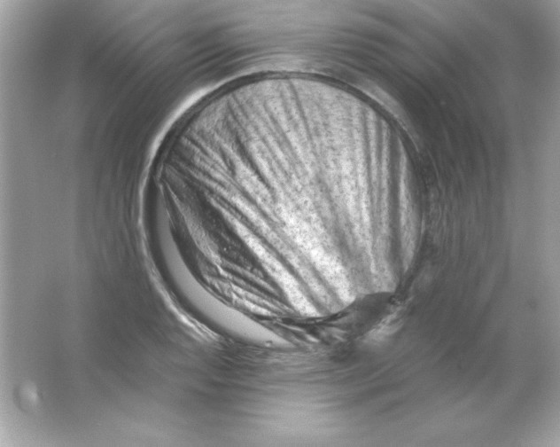 X0000065251128200603172157