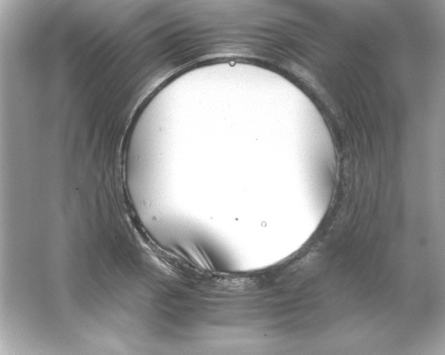 X0000065251129200603172157