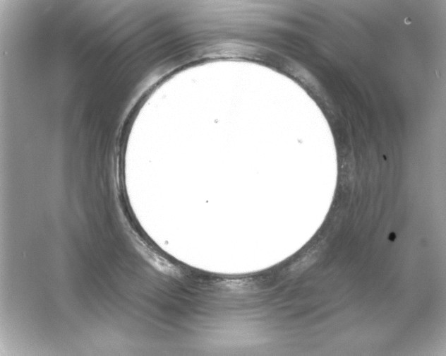 X0000065251130200603172157