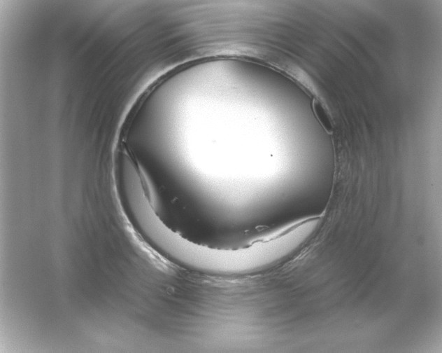 X0000065251132200603172157