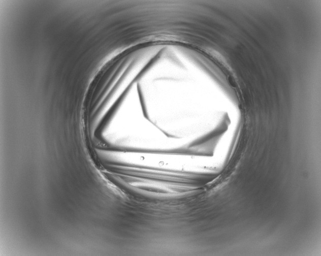 X0000065251133200603172157