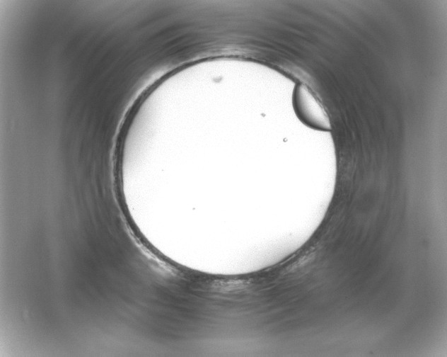 X0000065251135200603172157