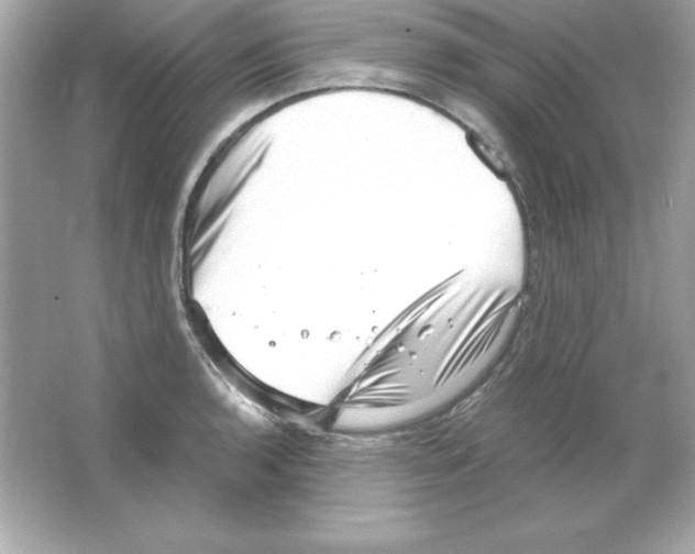 X0000065251136200603172157