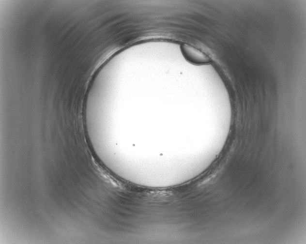 X0000065251137200603172157