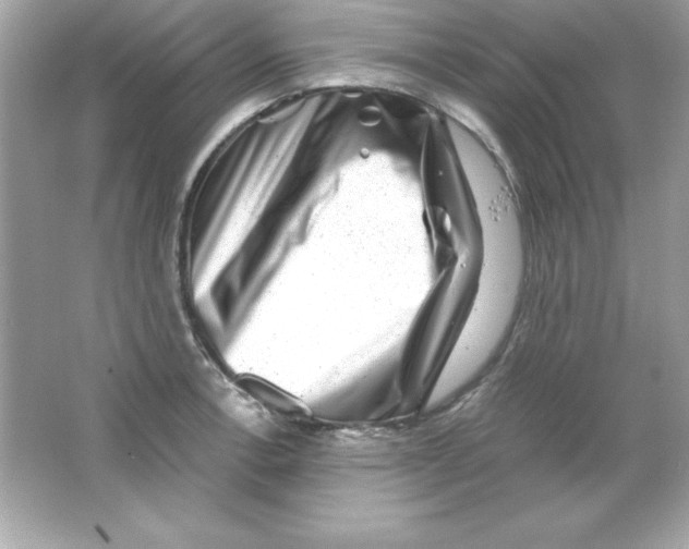 X0000065251138200603172157