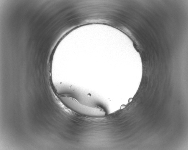 X0000065251140200603172157