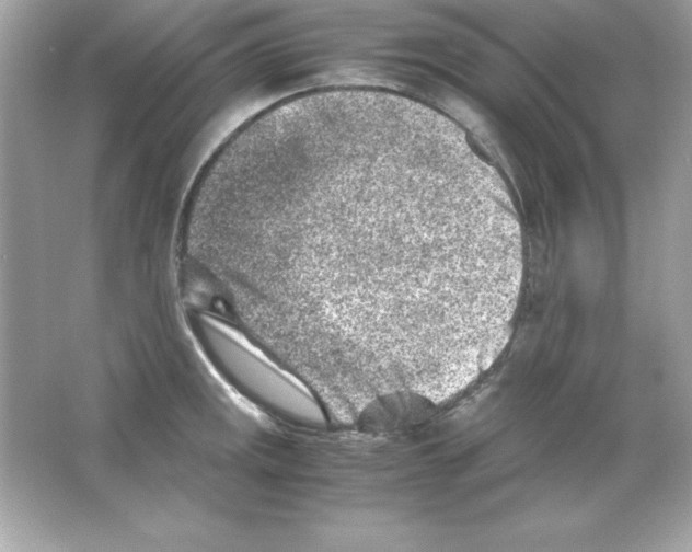 X0000065251141200603172157