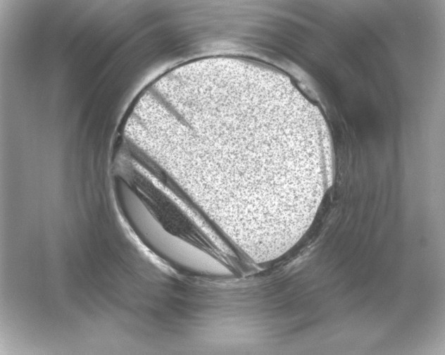 X0000065251142200603172157