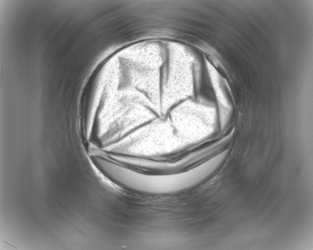 X0000065251143200603172157