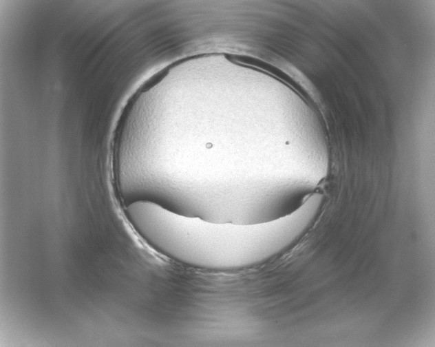 X0000065251144200603172157