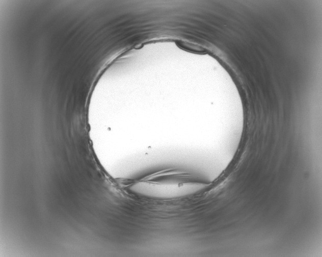 X0000065251145200603172157