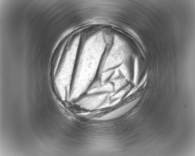 X0000065251146200603172157