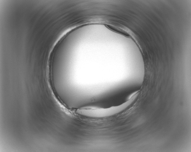 X0000065251147200603172157