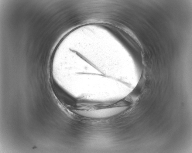 X0000065251148200603172157