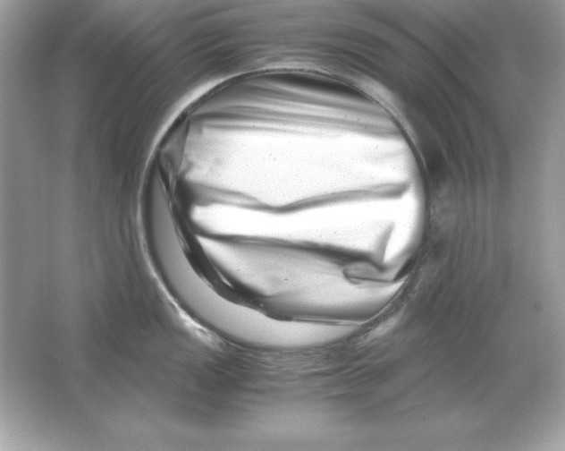 X0000065251149200603172157