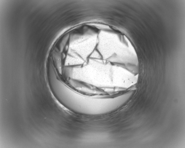 X0000065251151200603172157