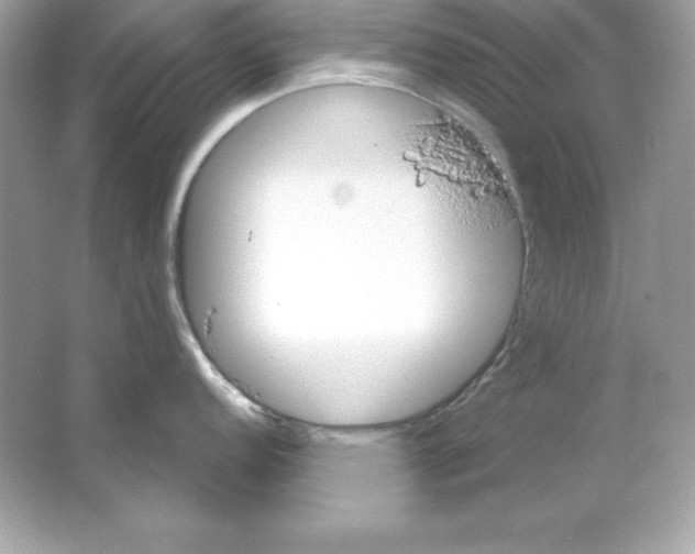 X0000065251152200603172157