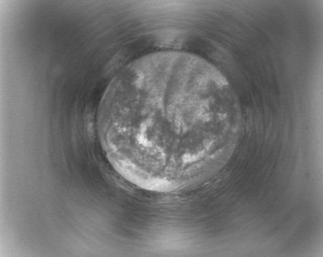 X0000065251154200603172157