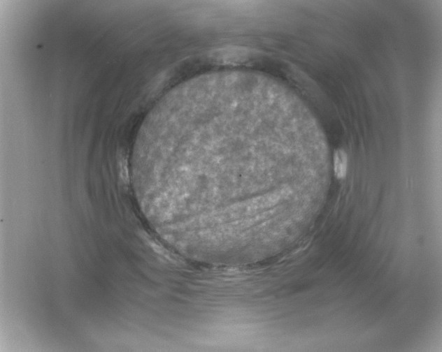 X0000065251155200603172157