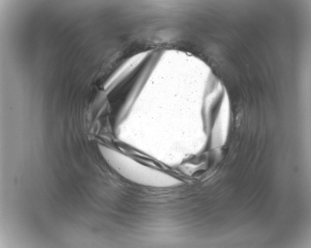 X0000065251156200603172157