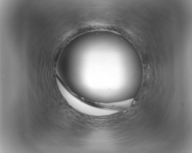 X0000065251157200603172157