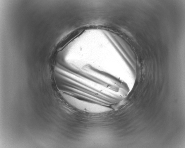 X0000065251160200603172157