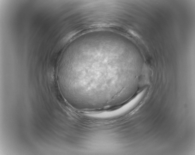 X0000065251161200603172157