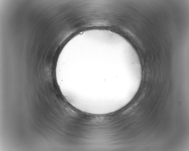 X0000065251162200603172157