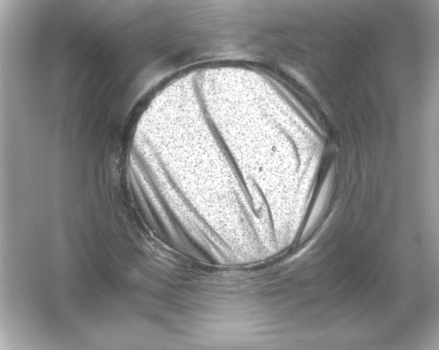 X0000065251163200603172157