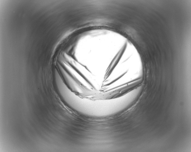 X0000065251164200603172156