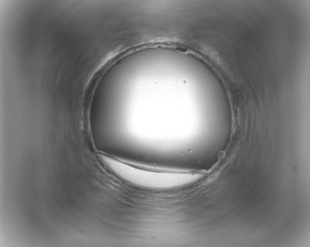 X0000065251165200603172156