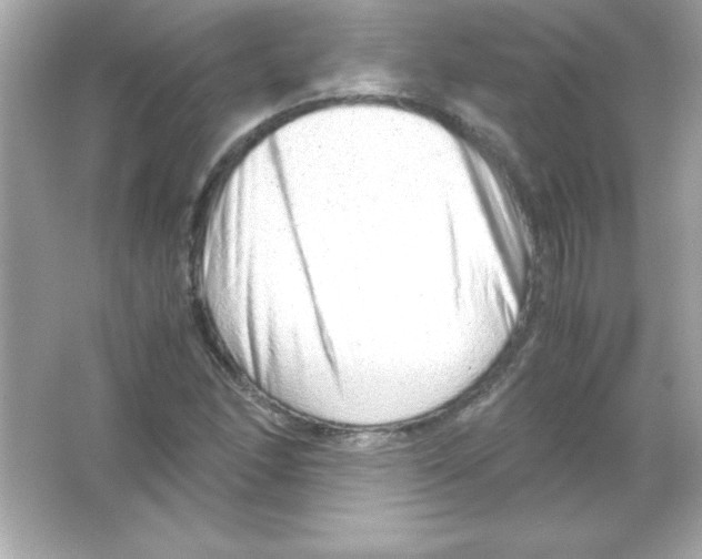 X0000065251166200603172156