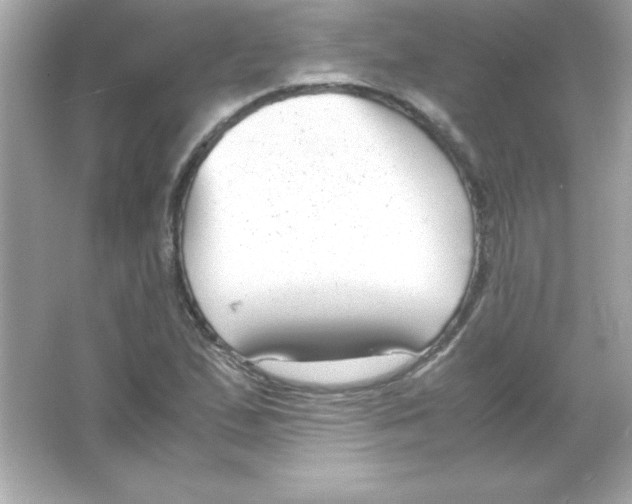 X0000065251167200603172156