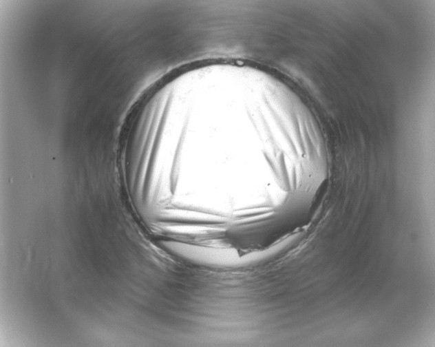 X0000065251168200603172156