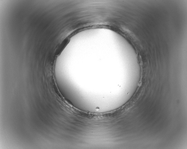 X0000065251169200603172156