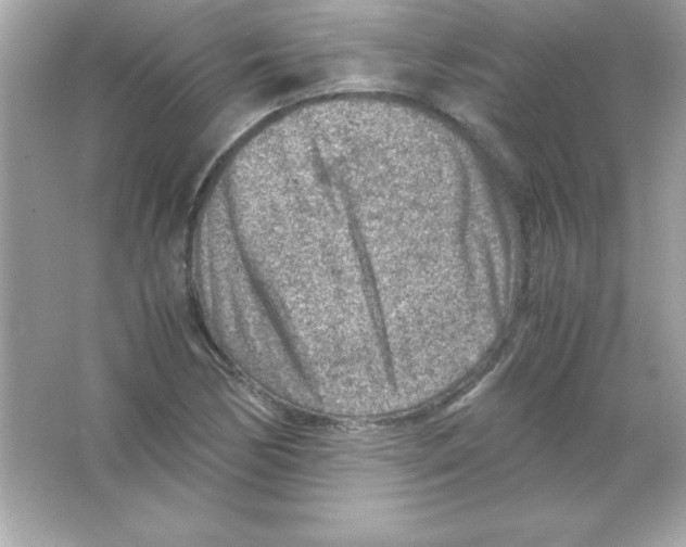 X0000065251170200603172156