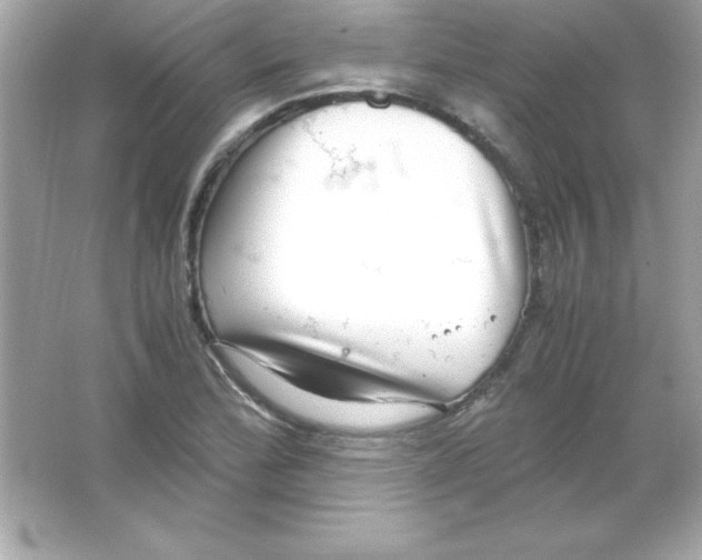 X0000065251172200603172156