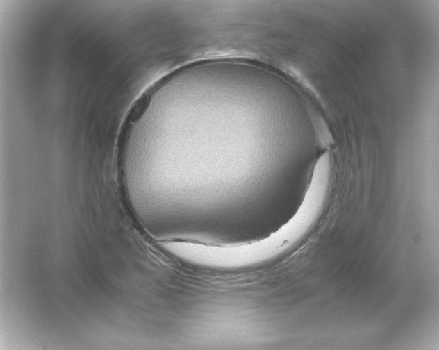 X0000065251173200603172156