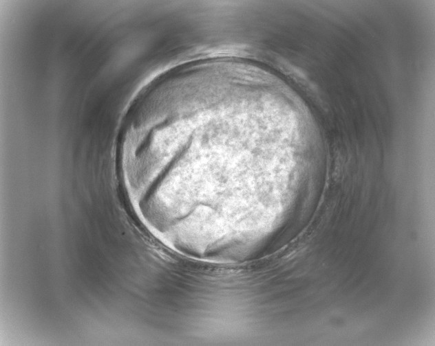 X0000065251174200603172156